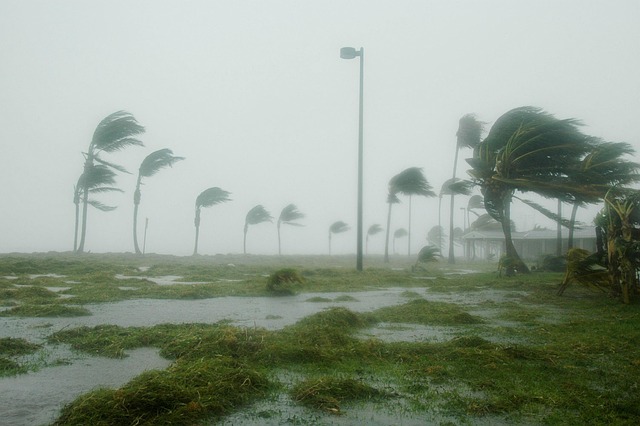South Africa: Nelson Mandela Bay On High Alert As Severe Rainfall Warning Issued