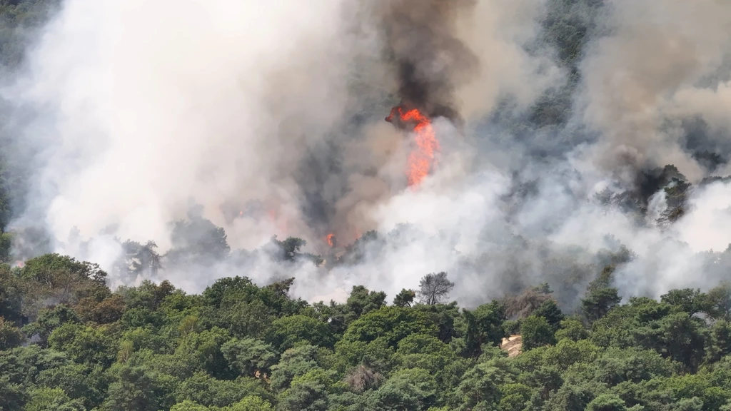 Grote natuurbrand in Noord-Limburg, treinverkeer verstoord