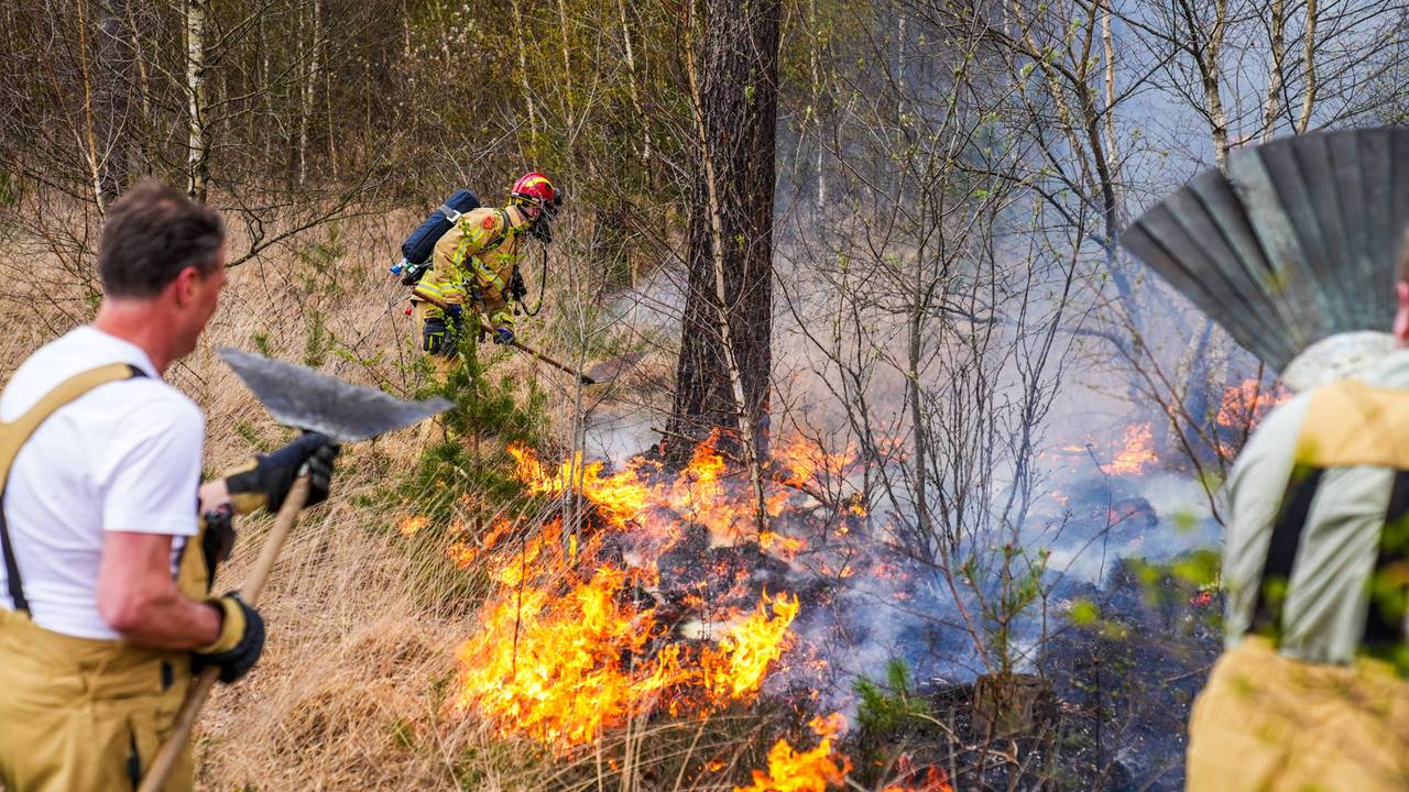 Bosbrand in Heeze onder controle, brandweer nog bezig met nablussen