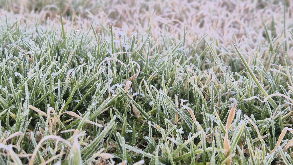 Unieke nachtvorst in zomertijd gemeten in Twente