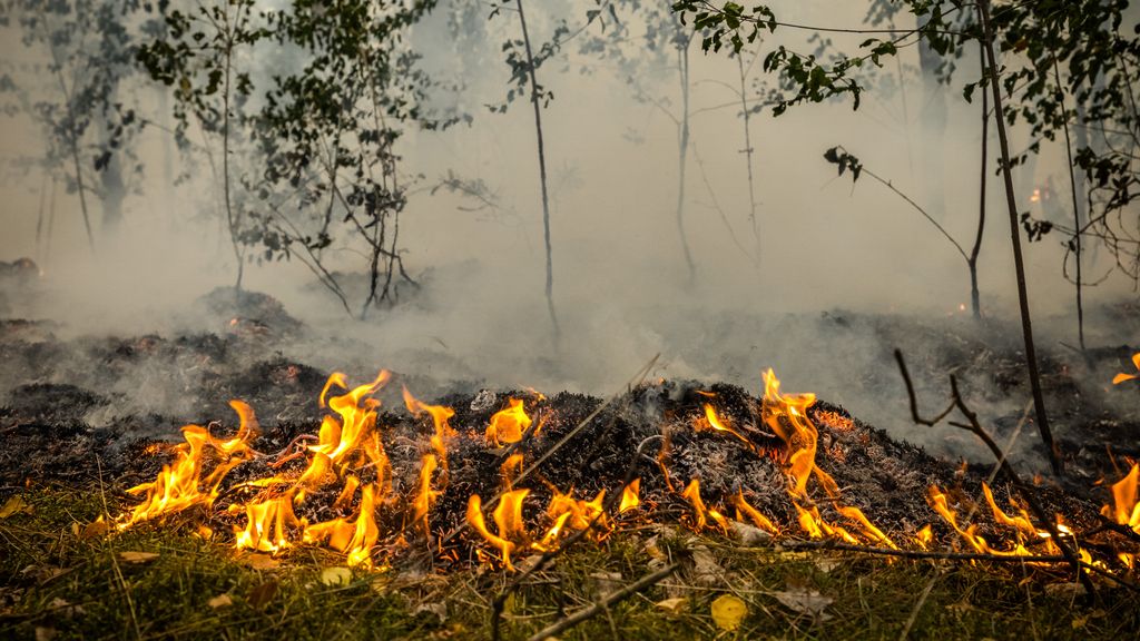 Natuurbrand Limburg nog niet onder controle: één vierkante kilometer getroffen