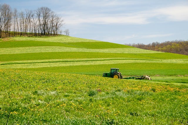 Girl dies after being hit by tractor