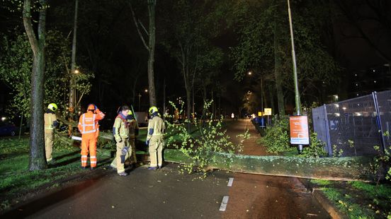 Omgevallen boom blokkeert weg en tramlijn