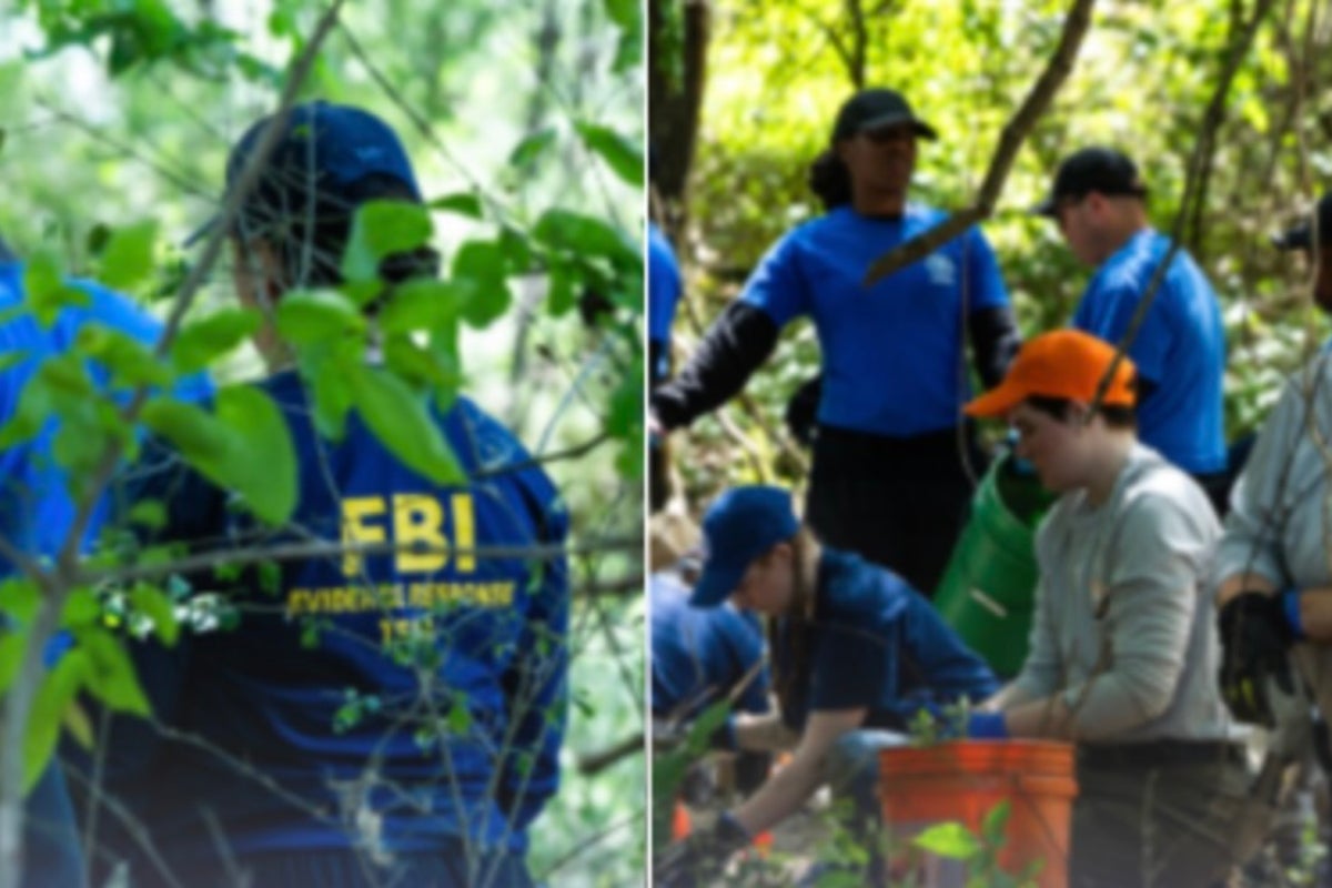 Mystery in Memphis: Remains of three children found in the woods and police say they have been there for years
