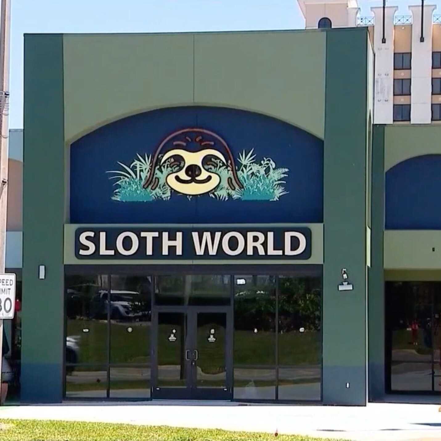 31 Sloths Acquired by an Orlando Animal Attraction Died, Officials Say