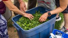 Using a bathroom 20 times a day - life in the middle of US cyclospora outbreak