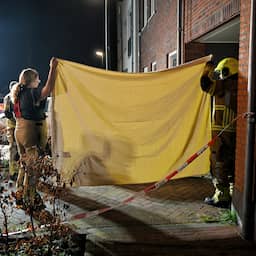 Vader bekent neersteken en verwurgen van kinderen in Moergestel