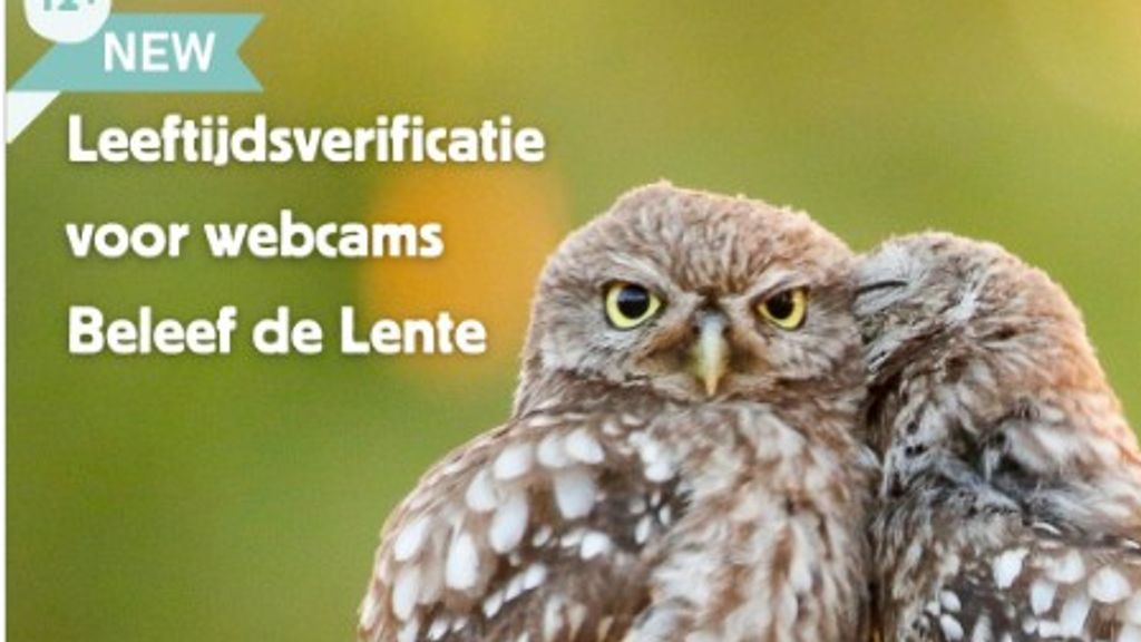 Van wolfveilige fiets tot verbod op doorschijnend ondergoed: het is weer 1 april