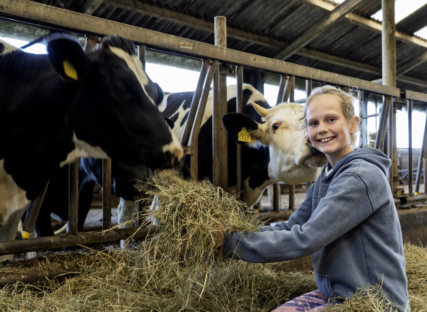 ‘Als een kalfje ziek is, bid ik tot God.’ Friese boerin Sanne (11) ging viraal met filmpjes over boerderij