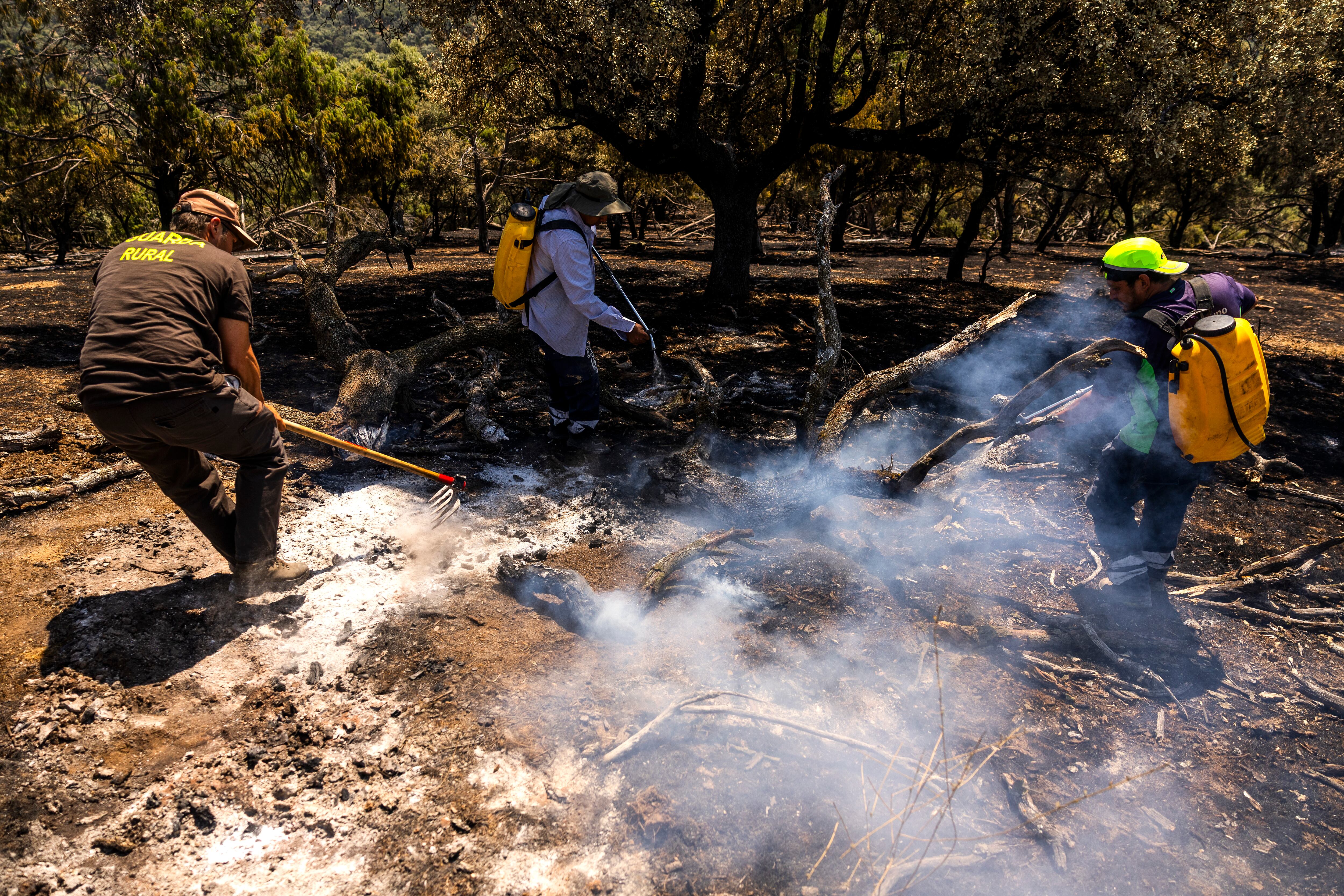 A day with a firefighting crew in Madrid: ‘The firefighters can’t keep up; last night there were three new fires’
