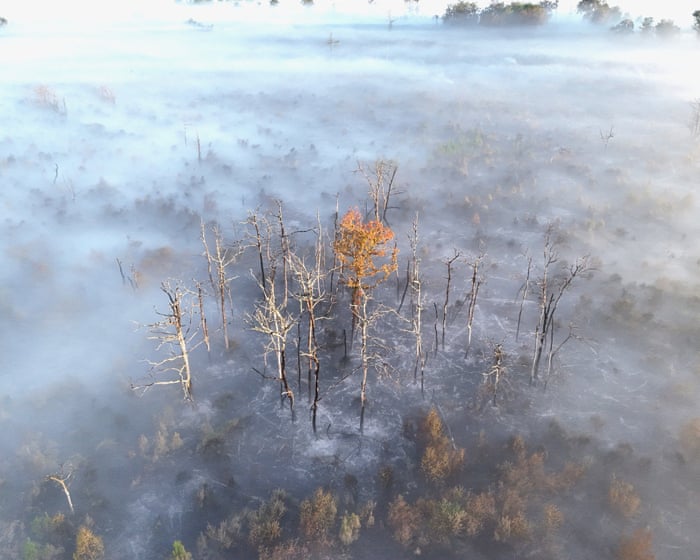 Firefighters hasten efforts to contain massive wildfires in France and Spain ahead of heatwave – Europe live