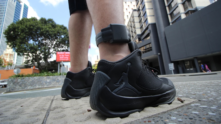 Federal government loses bid to monitor those released from immigration detention