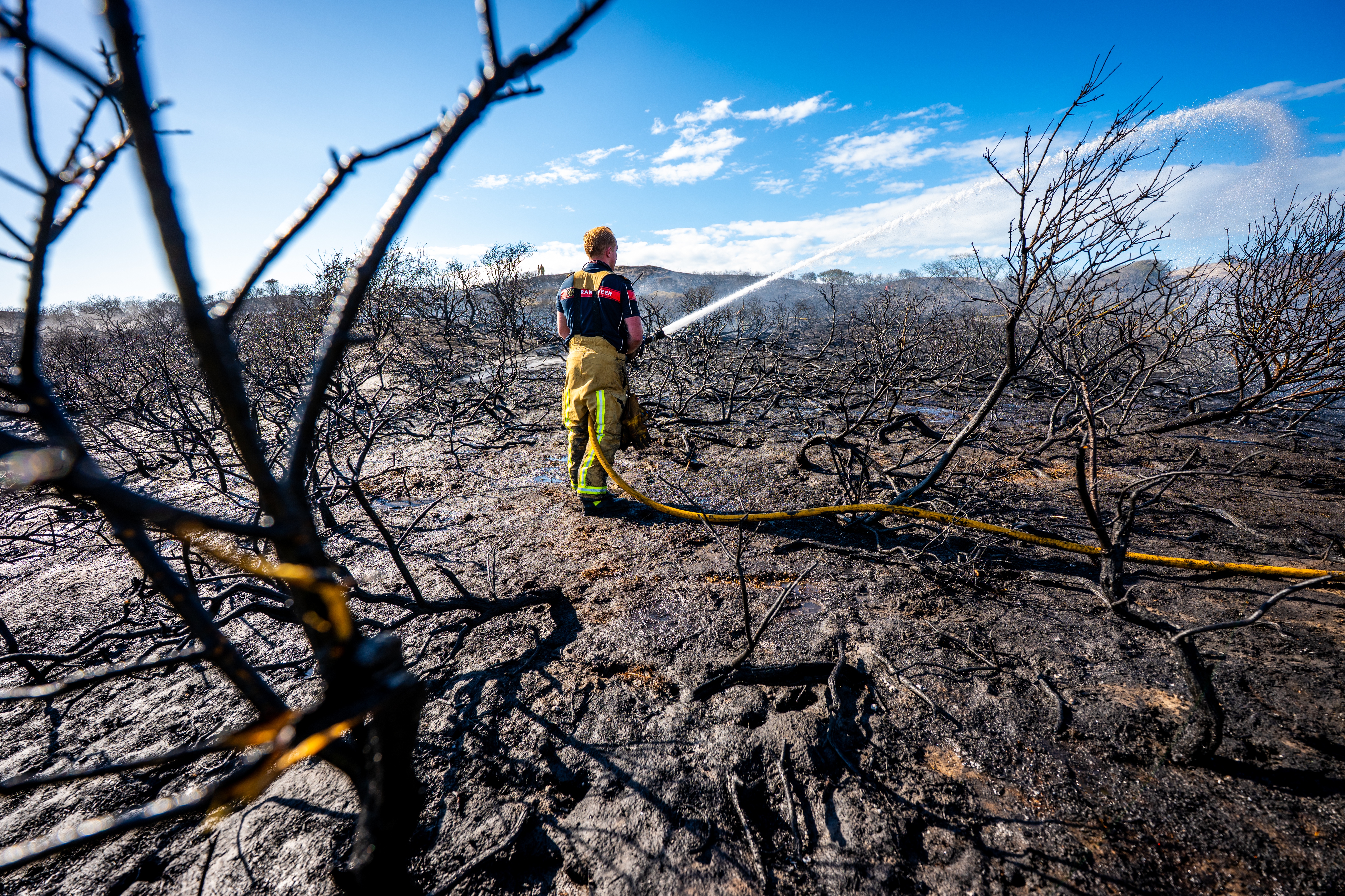 Politici totaal oneens over natuurbranden: de een wil aanpak klimaat, de ander meldt ‘dat er minder natuur verbrand is’