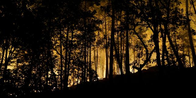 Major fire rages in Fontainebleau forest near Paris