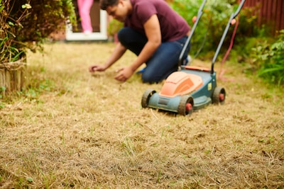 ’s Zomers een uitgedroogd gazon? ‘Sproeien helpt weinig, gras wordt alleen iets minder bruin’