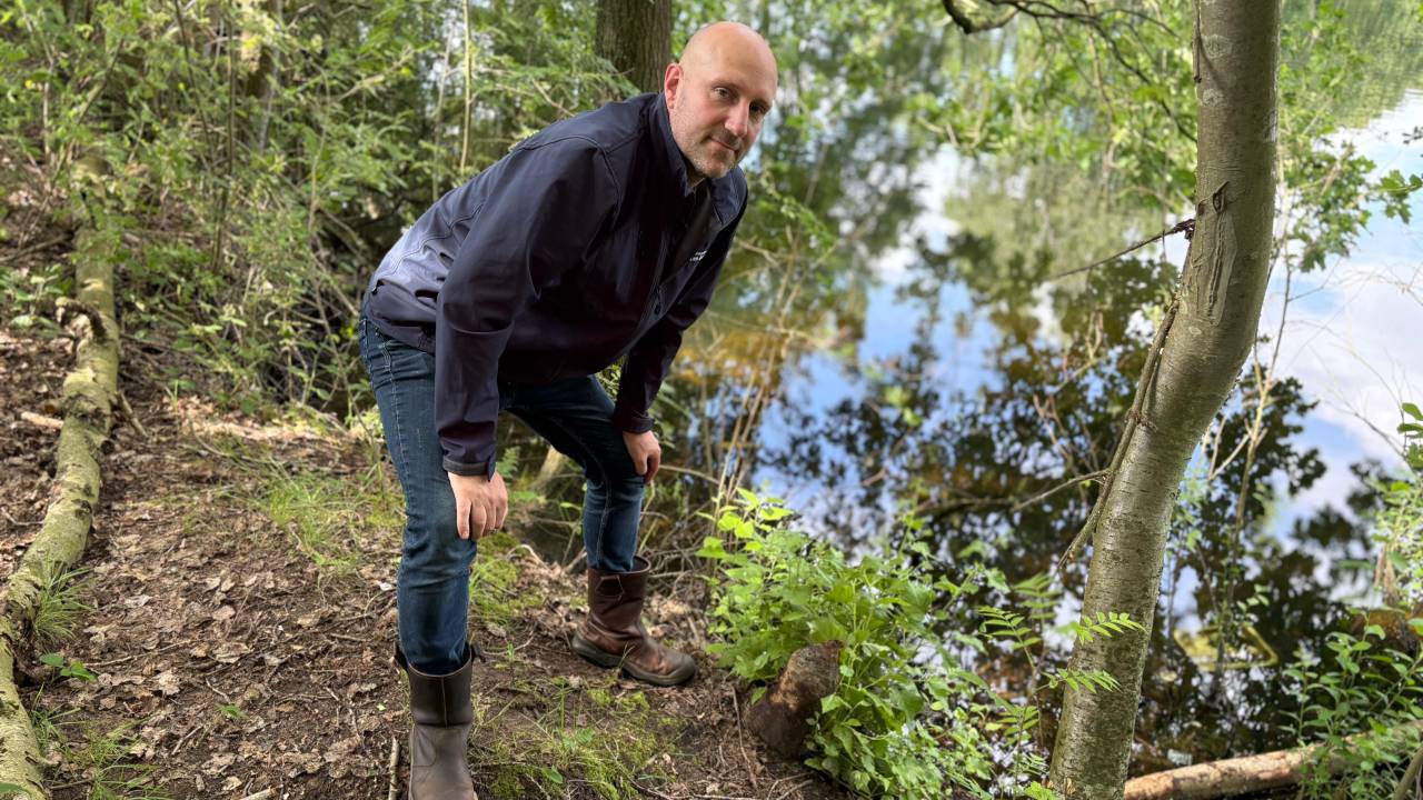 Bever zwemt in stadshaven Tilburg: goed nieuws, maar kan gevaarlijk zijn