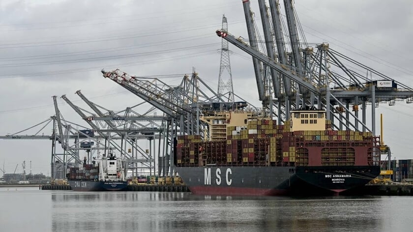 Reder MSC mijdt Hormuz met nieuwe dienst naar Perzische Golf