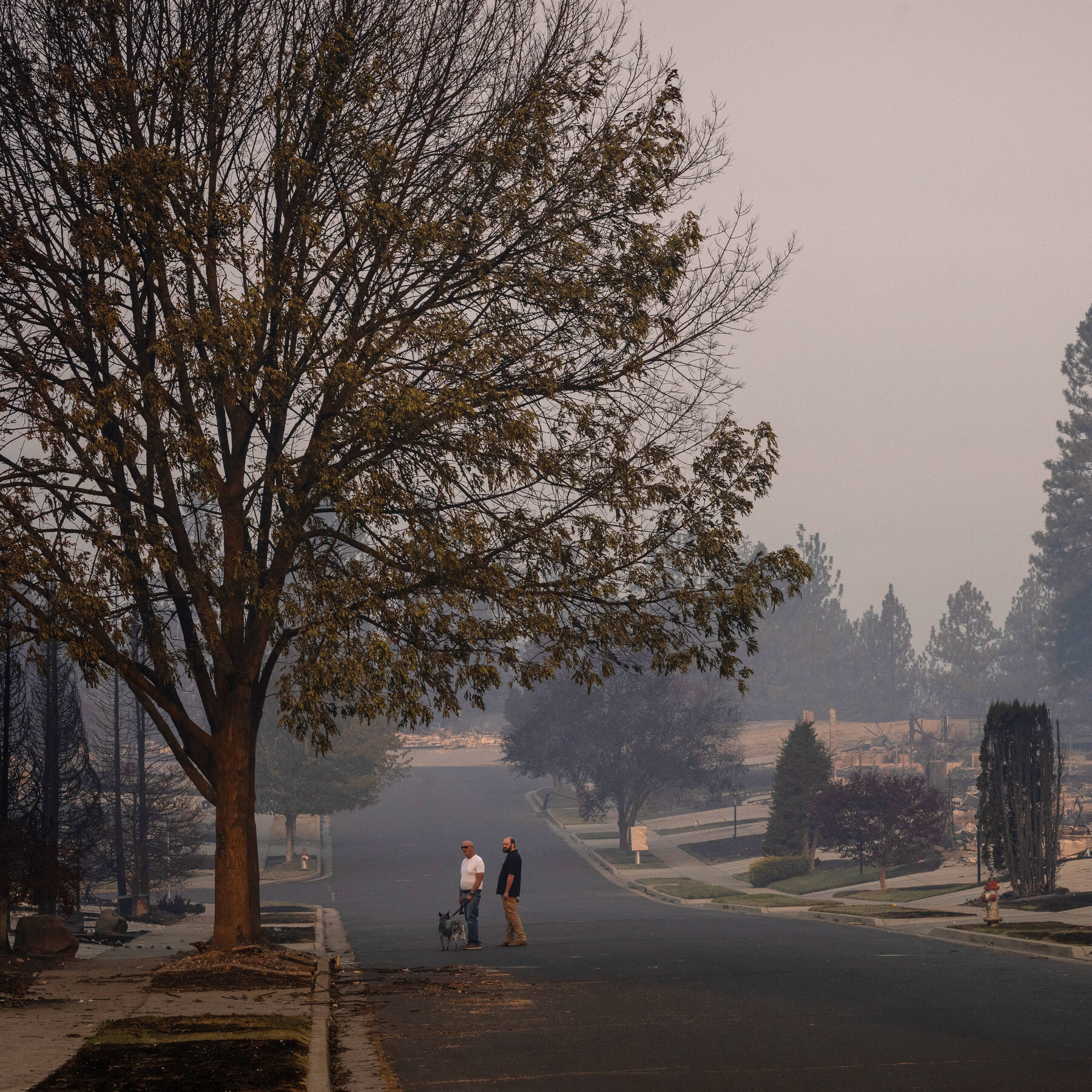 ‘A War Zone’: Spokane Wildfires Leave a Devastating Trail of Destruction