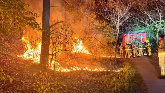 Brand in bosgebied in Nunspeet