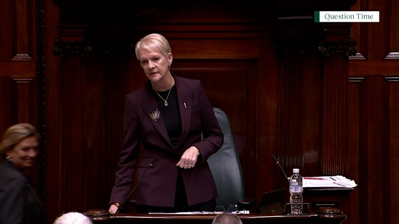 Deputy premier booted from question time