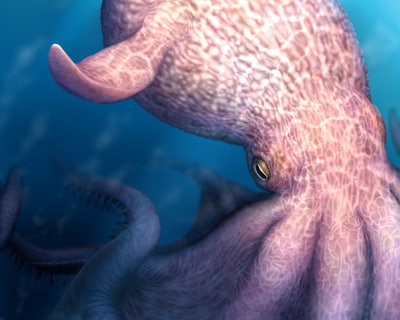 Filmmonster blijkt echt: ‘kraak’ regeerde miljoenen jaren geleden de zee