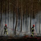 ‘We leunen te zwaar op het bos’, klinkt het in het door vuur verwoeste Gironde