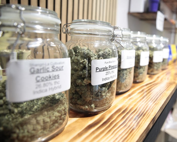 Cannabis commercialisation not decriminalisation drives up usage, study finds