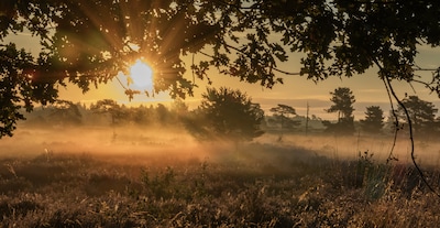 Zonnige zondag eindigt met regen en wind, heerlijk lenteweer op komst komende week