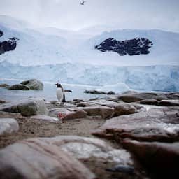 Wetenschappers ontdekken tienduizenden nieuwe heuvels onder ijs op Antarctica