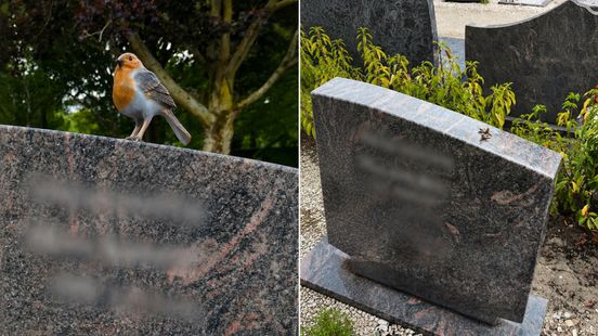 Gemeente weigert vooralsnog camera's na grafdiefstal: 'Niet proportioneel'
