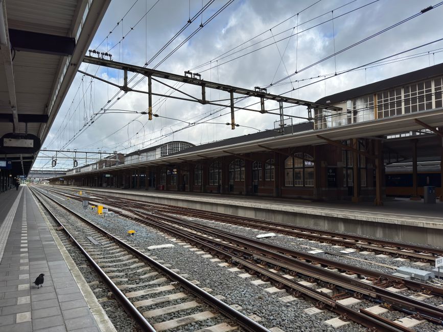 FNV kondigt ov-staking van 24 uur aan op 9 september