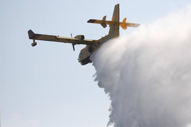 All 11 on seaplane that crashed, caught fire north of Seattle survive