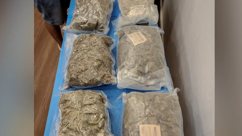 Sydney musician behind bars following multi-million drug bust