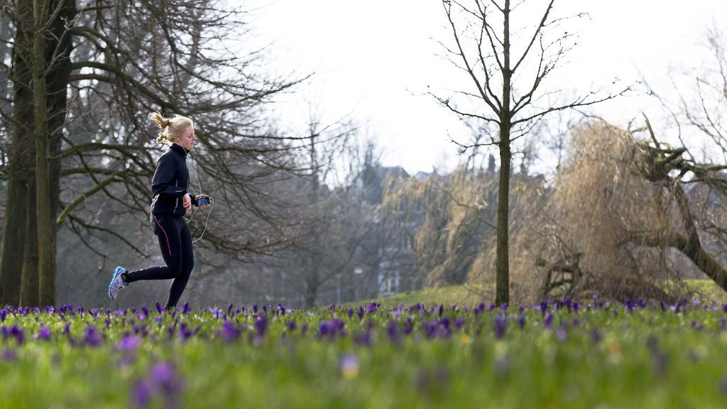 Amsterdam kiest voor fatbikeverbod in Vondelpark, verbod geldt vanaf mei