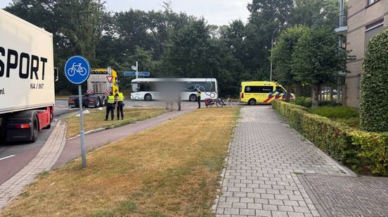 Hond ongedeerd na botsing in Gaanderen