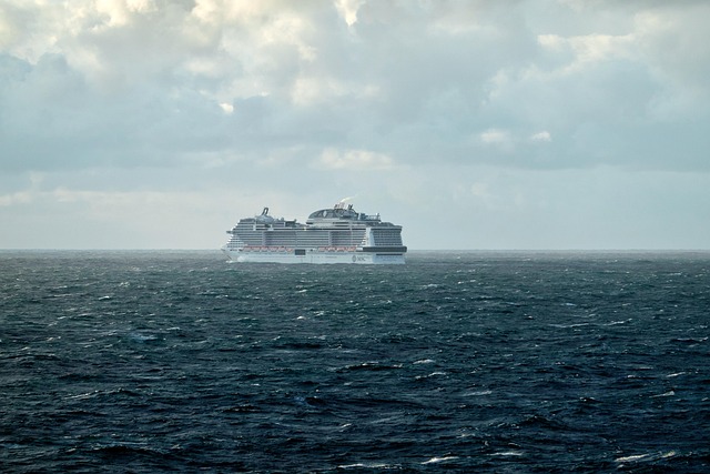 Suspected hantavirus outbreak on cruise ship is no reason to ‘panic,’ WHO says