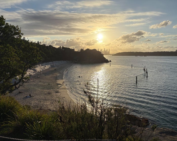 Shark attack at Nielsen Park in Sydney’s east leaves boy fighting for his life
