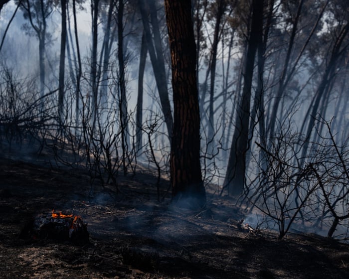 Wildfires in southern Spain kill 12 amid soaring temperatures